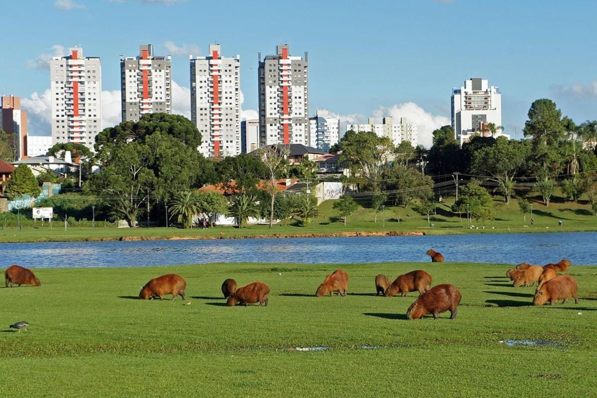 Predio Fantastico No Bairro Mais Requisitado De Curitiba Exterior photo